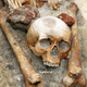 Illustration for article titled ‘Vampire Grave’ Discovered at Polish Construction Site
